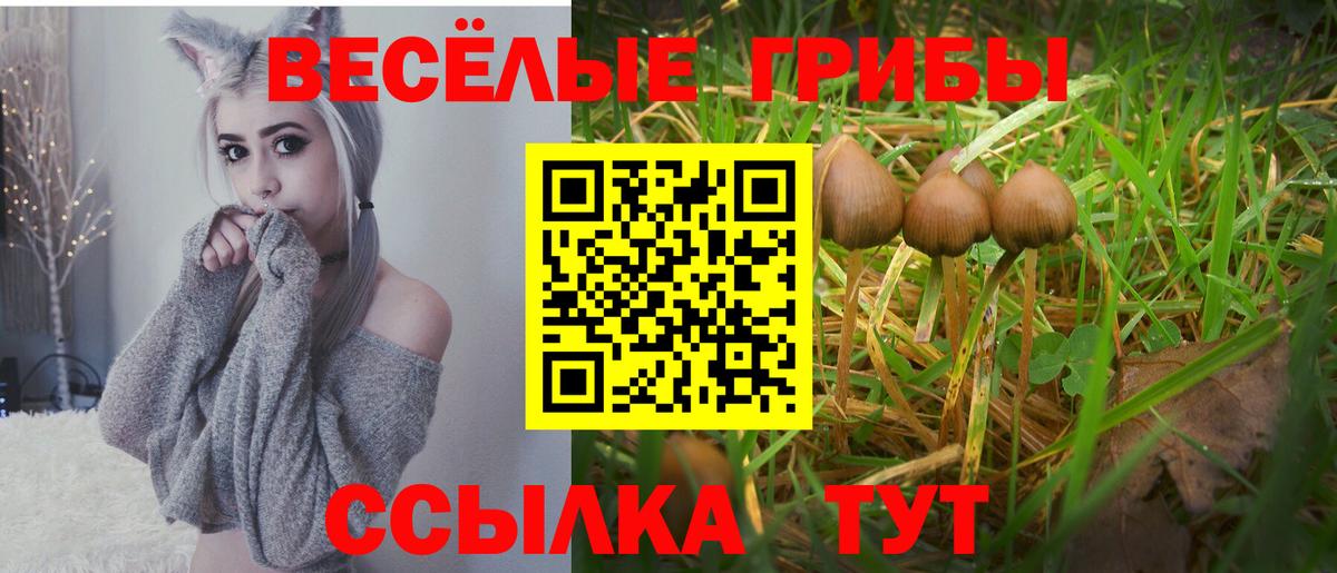 Галлюциногенные грибы GOLDEN TEACHER  где купить наркоту  Вход с VPN  Нижнеудинск  Псилоцибиновые грибы Cubensis 